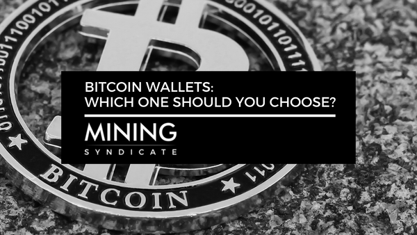 Bitcoin Wallets: Which One Should You Choose?