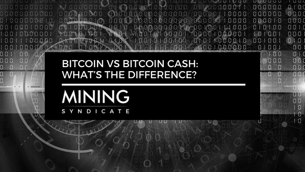 Bitcoin vs Bitcoin Cash: What’s the Difference?