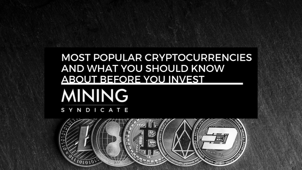 Most Popular Cryptocurrencies and What You Should Know About Each One Before You Invest